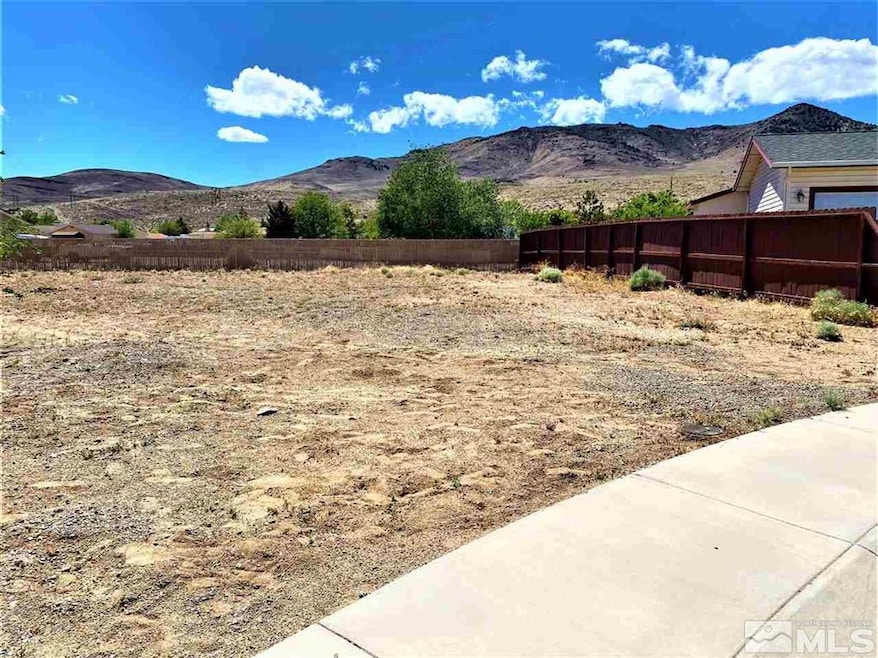 21 Pepling Ct, Dayton, NV 89403 - photo 1