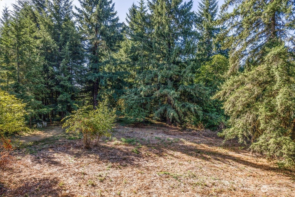 110 Rawlins Rd, Toledo, WA 98591 - photo 1