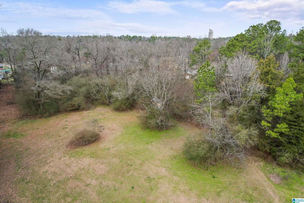 0 Milstead Dr unit 1, Calera, AL 35040 - photo 1