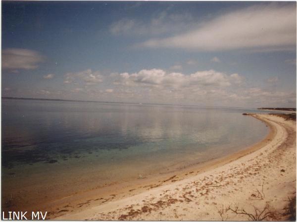 7 Kettle Hole Ln, Vineyard Haven, MA 02568 - photo 1