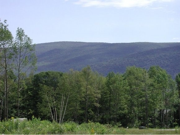 120 Summit View, Manchester Center, VT 05255 - photo 1