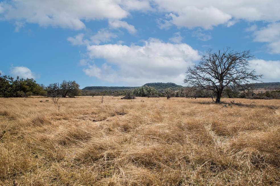 1 E Lower Crabapple Rd unit 1, Fredericksburg, TX 78624 - photo 1