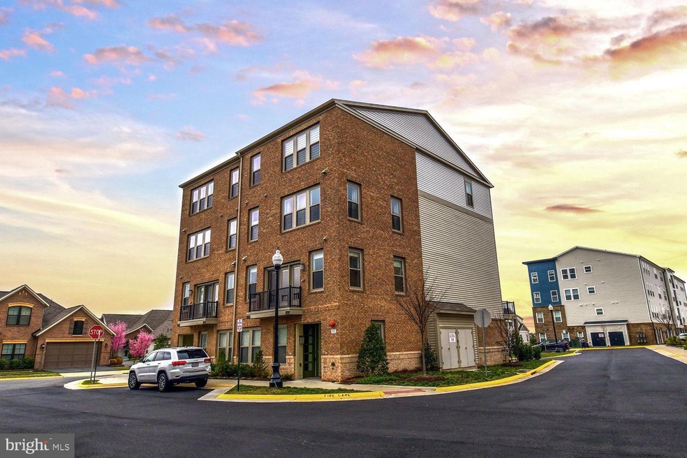 23610 Havelock Walk Terrace, Brambleton, VA 20148 - photo 1