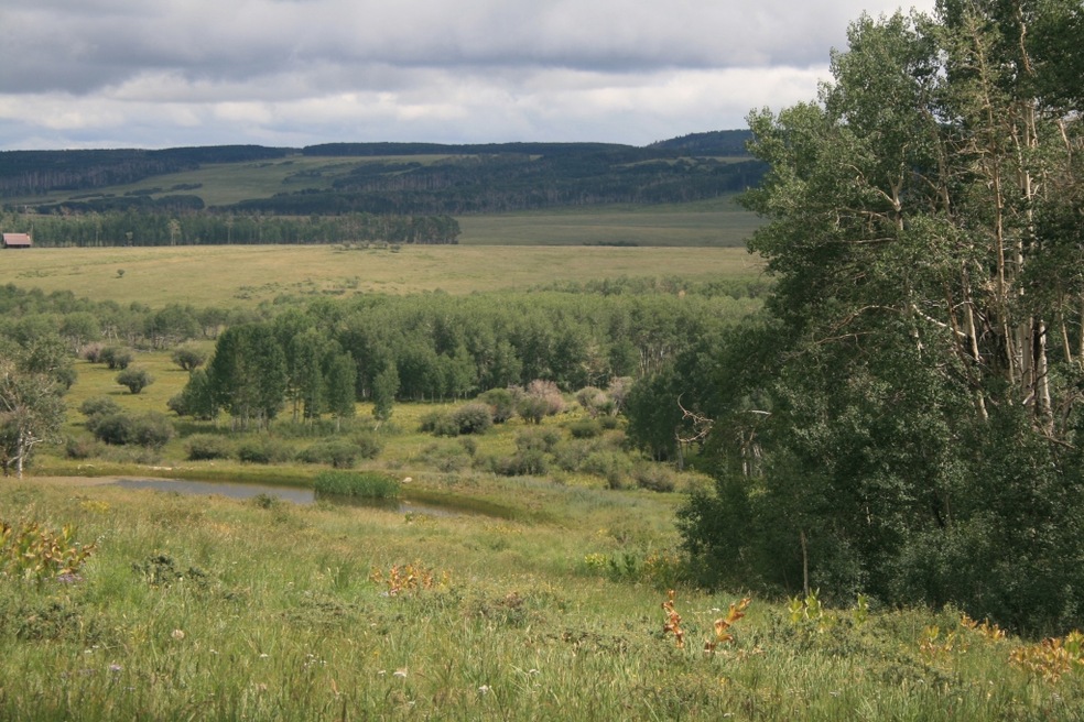Lot view