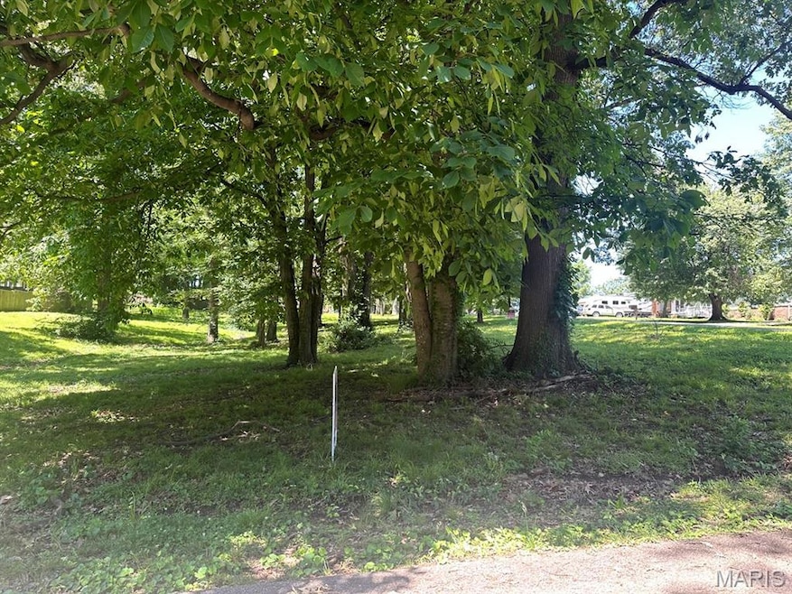 0 Lewis & Albert St unit MAR25013843, Dexter, MO 63841 - photo 1