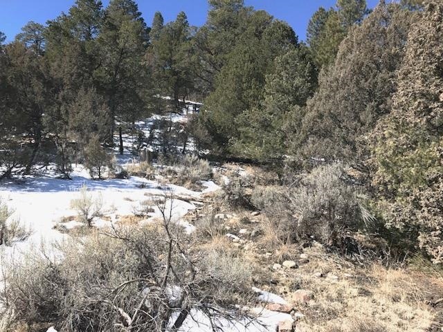 TBD Nm State Rd 115, Canjilon, NM 87518 - photo 1