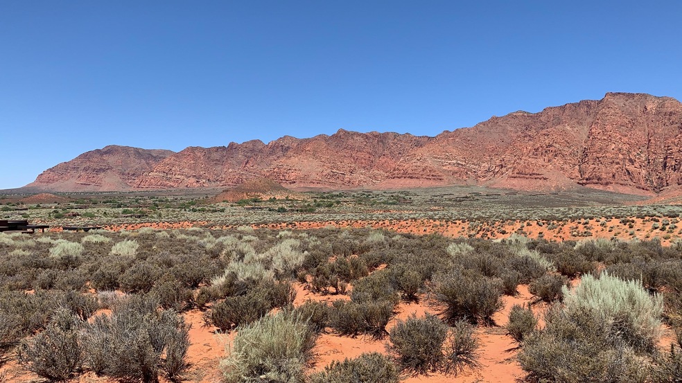 red mountain view 2