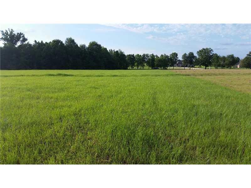 Land/Lot.