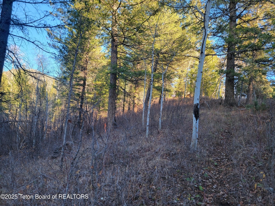 L13B2 Cutthroat Run, Irwin, ID 83428 - photo 1