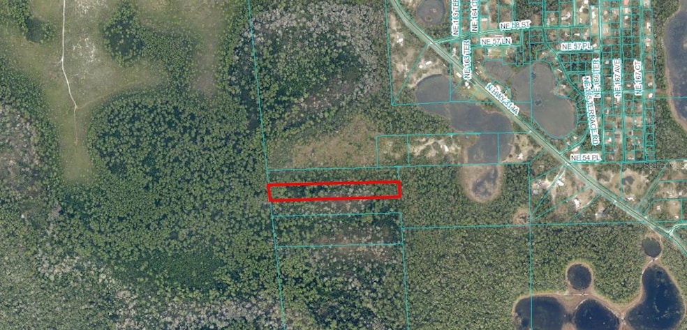 TBD N Highway 314 A, Silver Springs, FL 34488 - photo 1