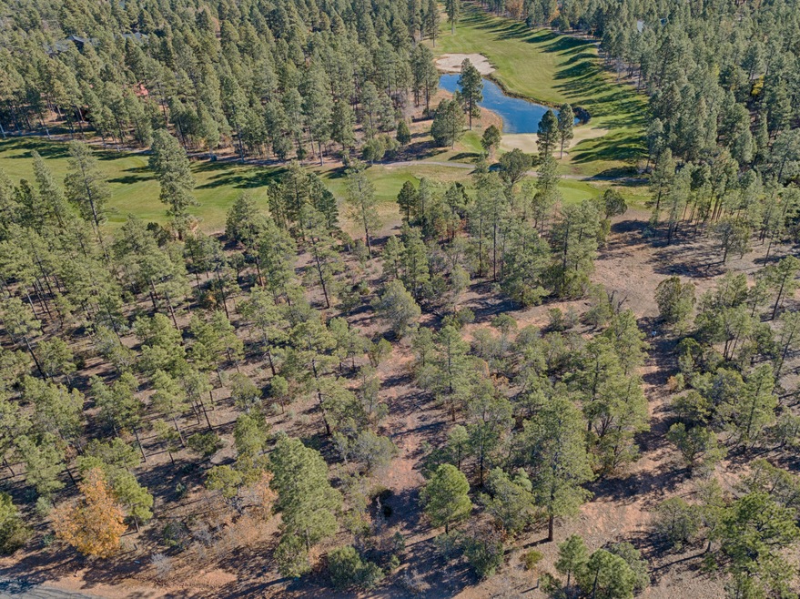 Incredible Torreon Lot
