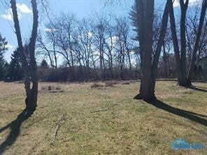 6312 Brint Rd, Sylvania, OH 43560 - photo 1