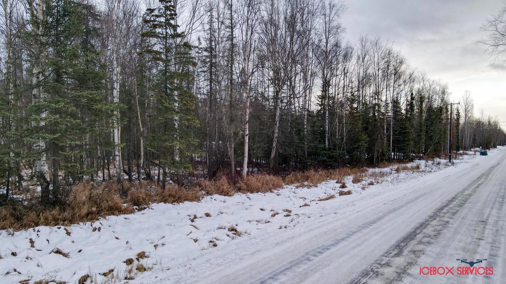 3101 W Marble Way, Wasilla, AK 99654 - photo 1