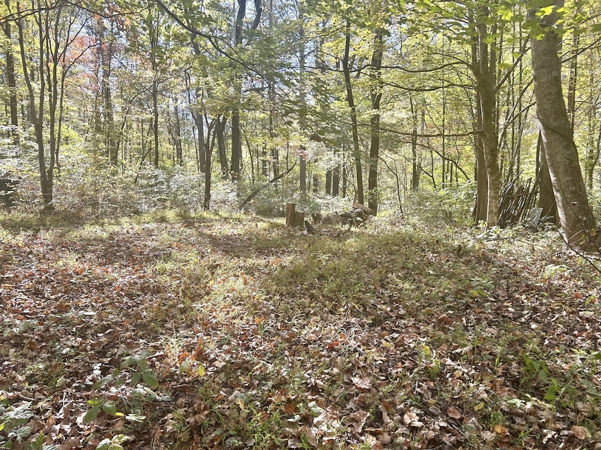 Part of the cleared area at the top of the hill!! Perfect building location!!