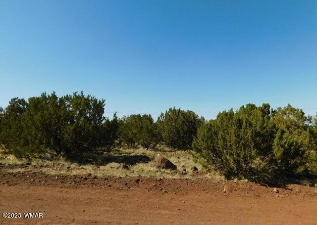 8548 Quail Run Dr Show Low, AZ 85901
