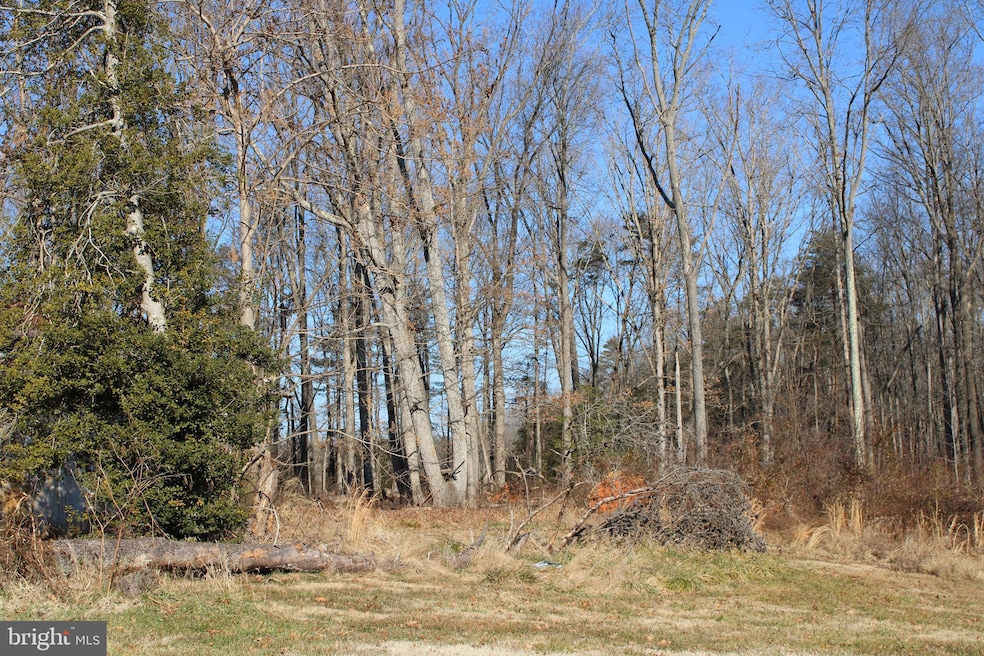 0 Constitution Hwy unit VAOR138306, Locust Grove, VA 22508 - photo 1