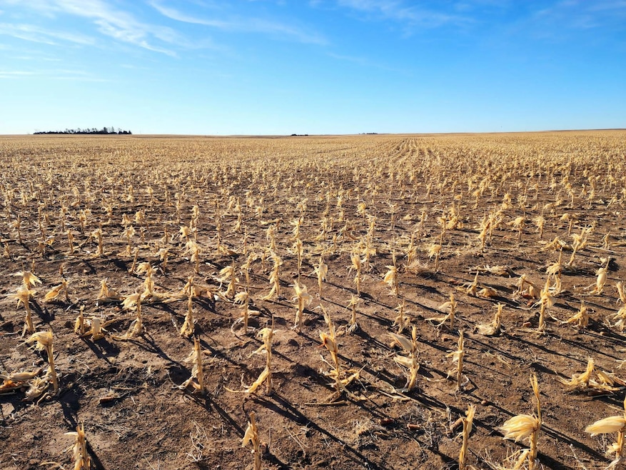 Road 33w, Bushnell, NE 69145 - photo 1