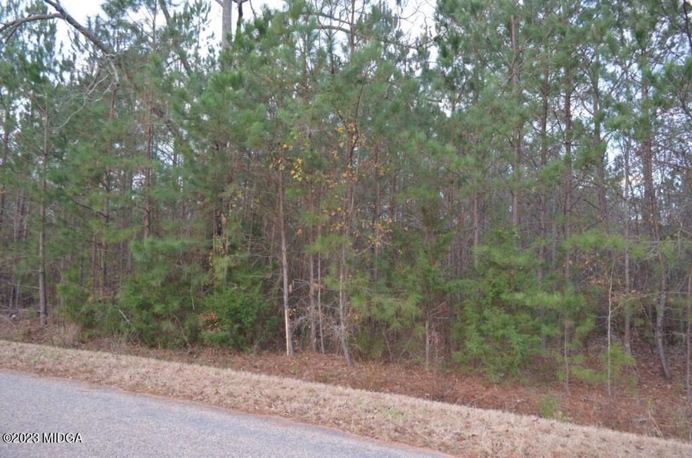 Lot12StricklandLoopMain