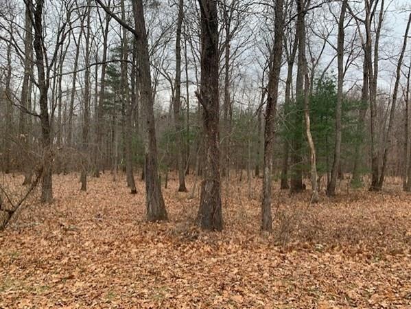 2 Bird Ln, Sharon, MA 02067 - photo 1