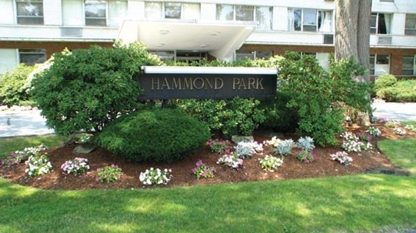 Hammond Park Condominiums unit 108, Chestnut Hill, MA 02467 - photo 1