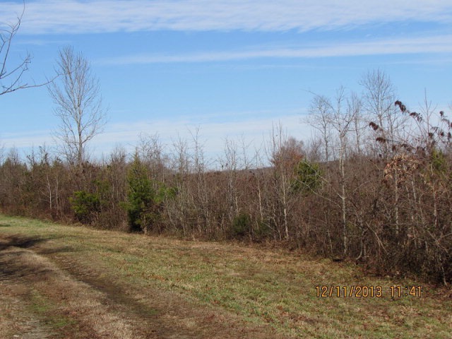 0 Wright Rd unit 5 34049, Amelia, VA 23002 - photo 1