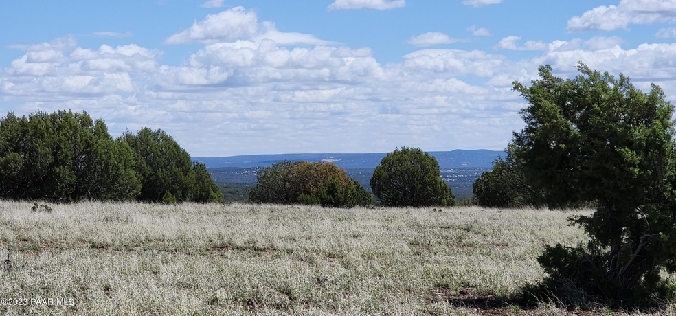 12d Juniperwood Ranch, Ash Fork, AZ 86320 - photo 1