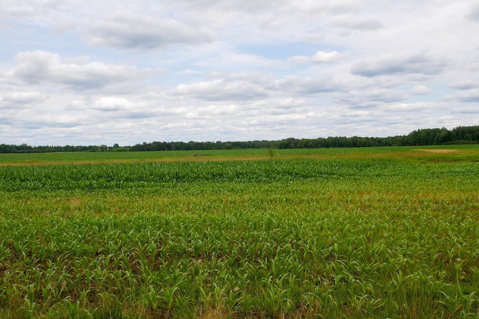 +/-19.85 Acres Wiese Dr, Rib Lake, WI 54470 - photo 1