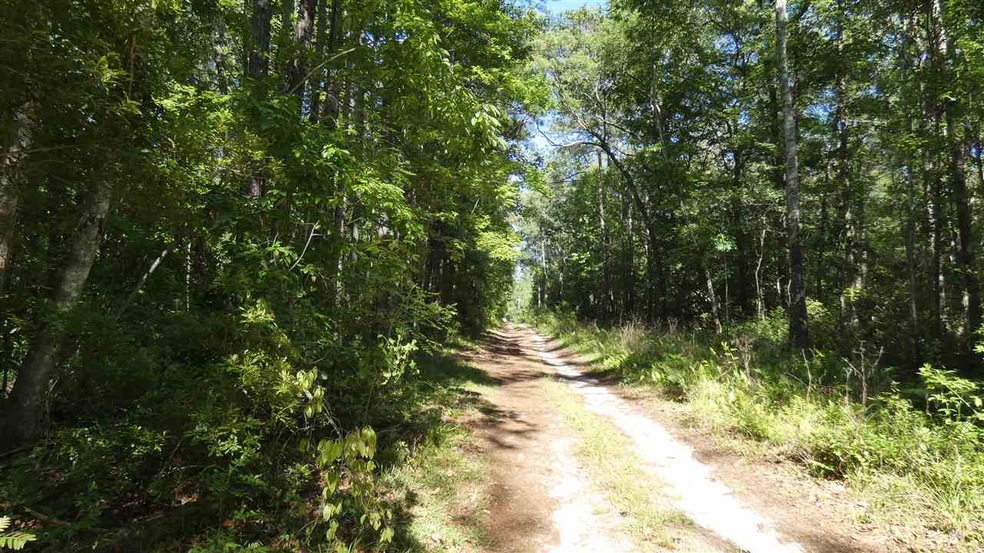 0 Eastwood unit 318611, Monticello, FL 32344 - photo 1