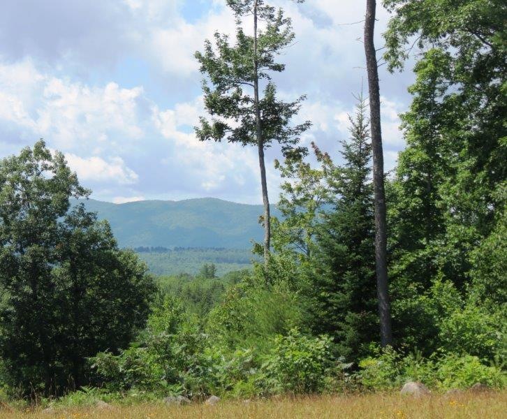 37-7 Upper Ridge Rd, Bridgton, ME 04009 - photo 1