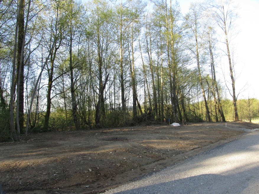 4119 278th St NW, Stanwood, WA 98292 - photo 1