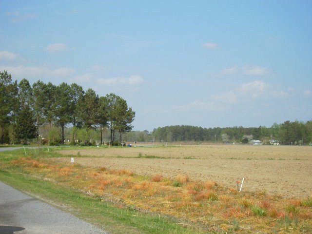 Primary Photo