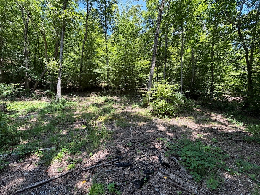 Photo Jul 18 2025, 1 04 42 PM