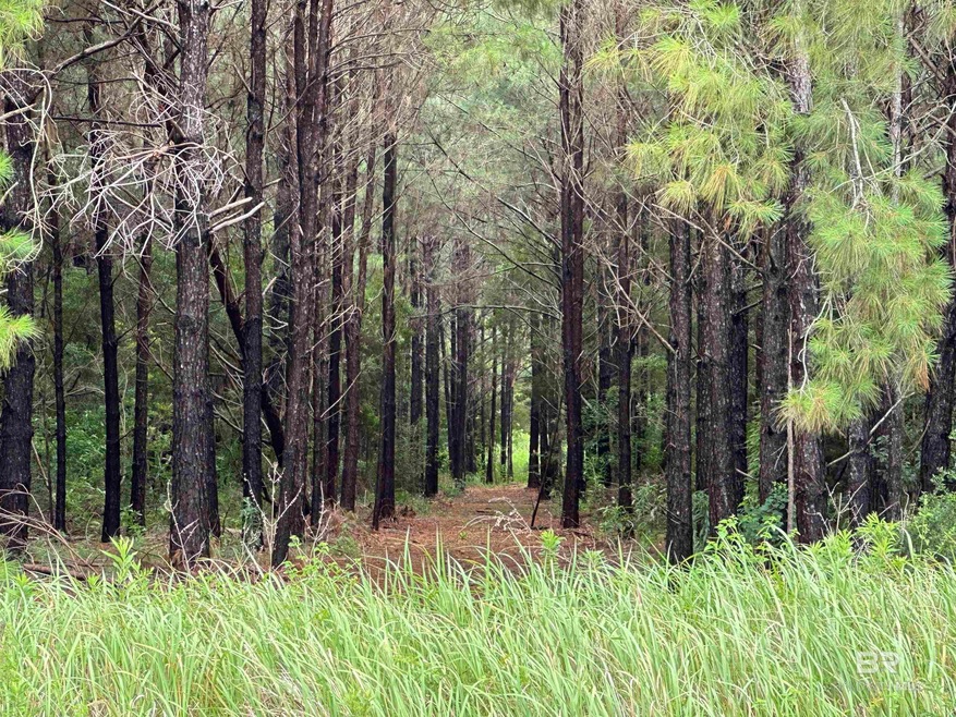 0 James Rd unit Lot 3 379957, Foley, AL 36535 - photo 1