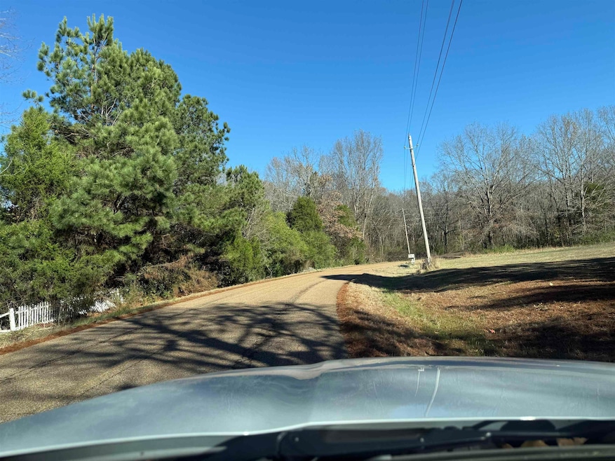 650 Person Rd, Oakland, TN 38060 - photo 1