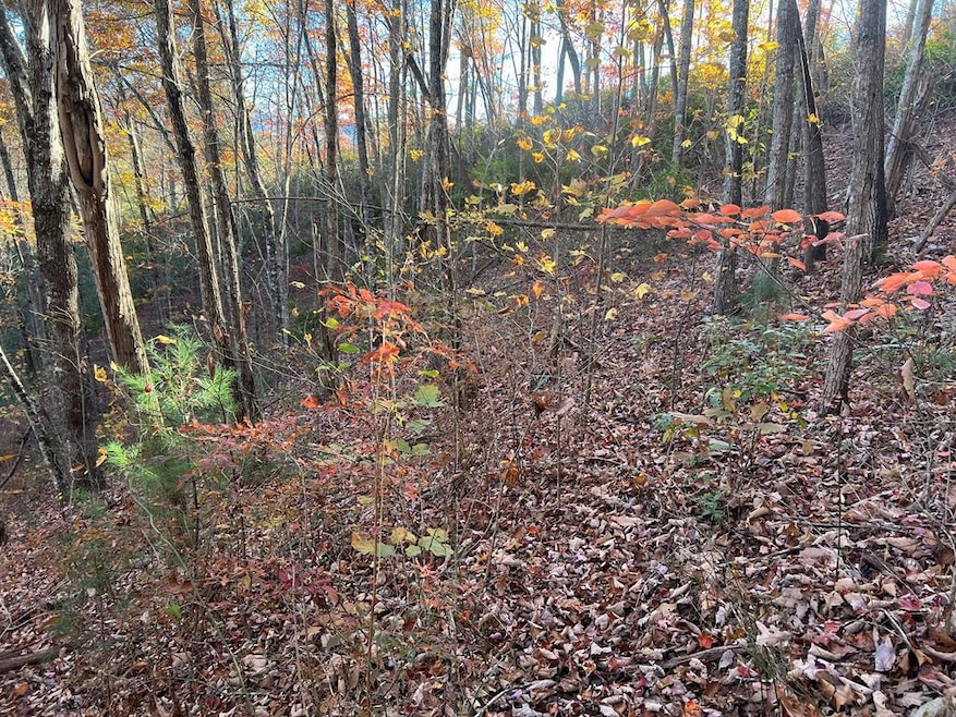 Lot 7 Deer Ridge Rd, Bryson City, NC 28713 - photo 1