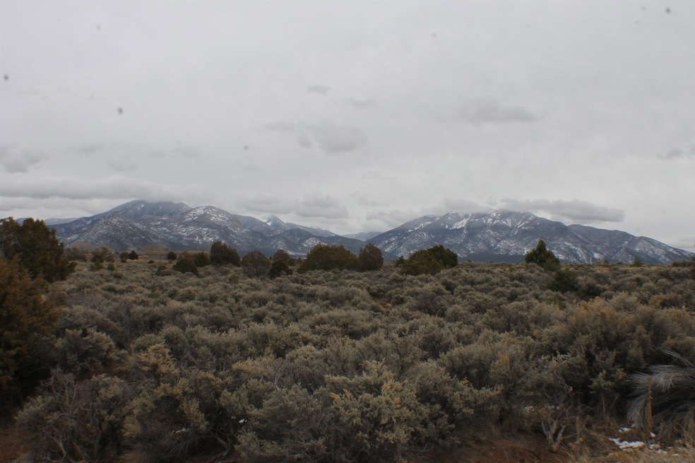 Lot 14 Cavalry Camp Rd, Arroyo Seco, NM 87529 - photo 1