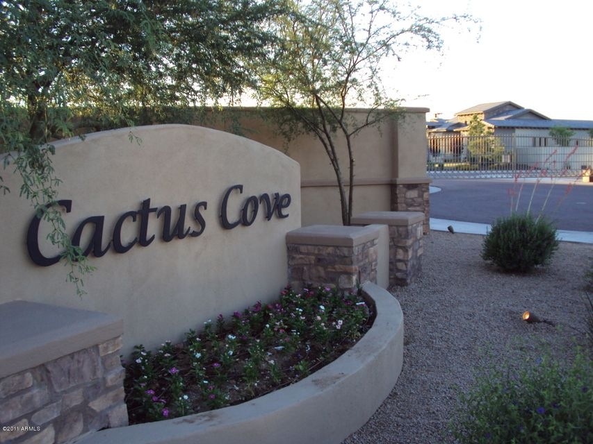 CACTUS COVE