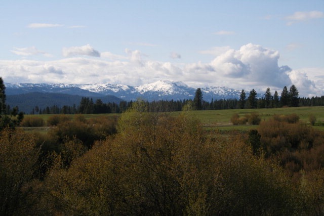 Main View