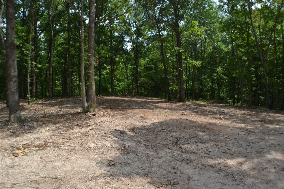 0 Gailey Hollow Rd unit 1046409, Siloam Springs, AR 72761 - photo 1