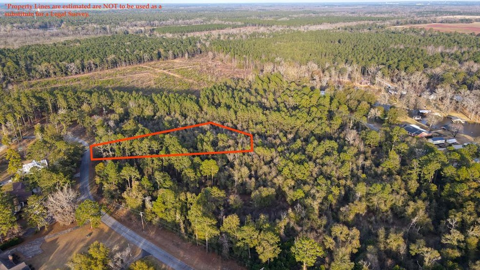 Lot 45 , Scenic Rt S D On Scenic Route, Cordele, GA 31015 - photo 1