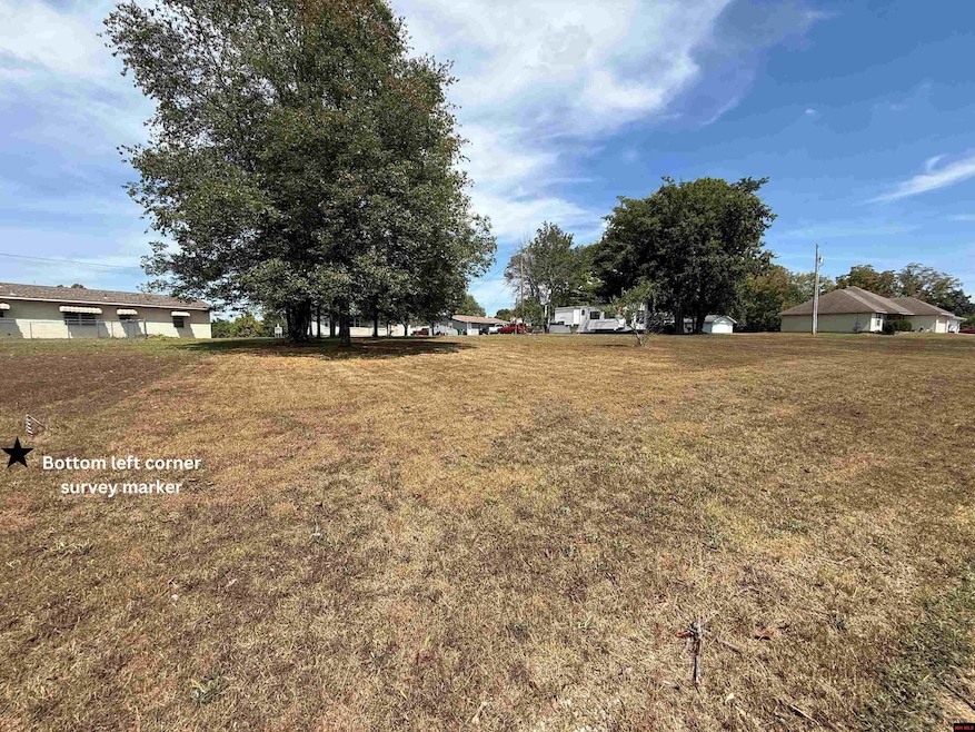 004-00552-000 Walnut Hill Ln, Cotter, AR 72626 - photo 1
