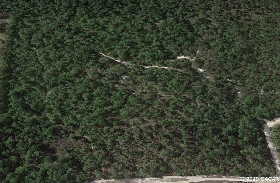 TBD SW Angel Glen, Fort White, FL 32038 - photo 1