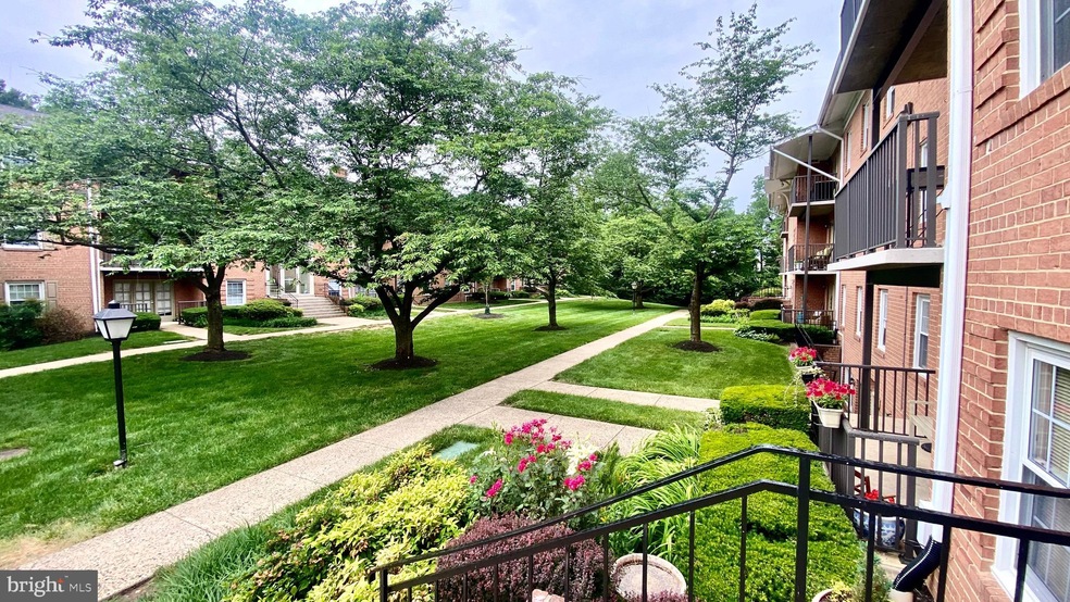 3330 Spring Ln unit D10, Baileys Crossroads, VA 22041 - photo 1