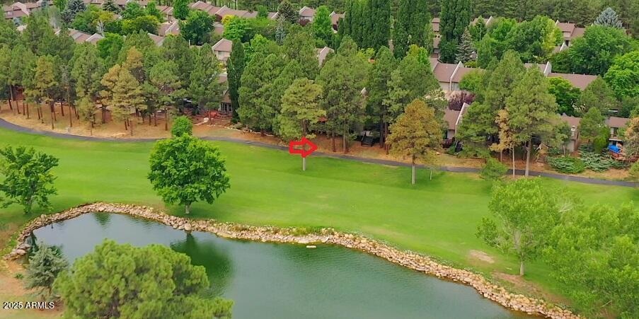 1710 N Fairway Dr, Flagstaff, AZ 86004 - photo 1