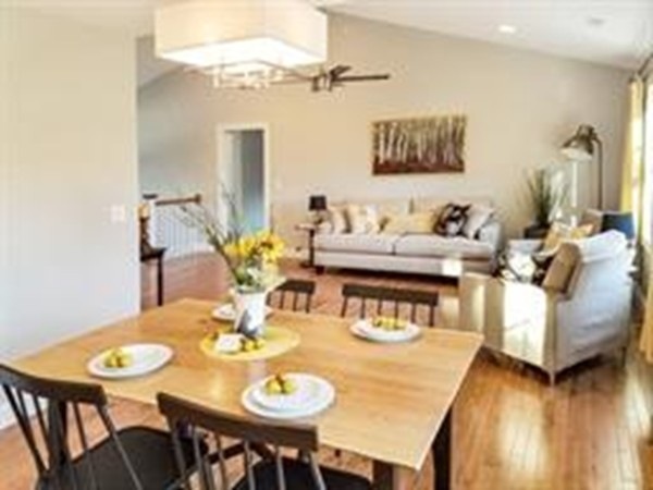 14 Balmoral St, Worcester, MA 01602 - photo 1