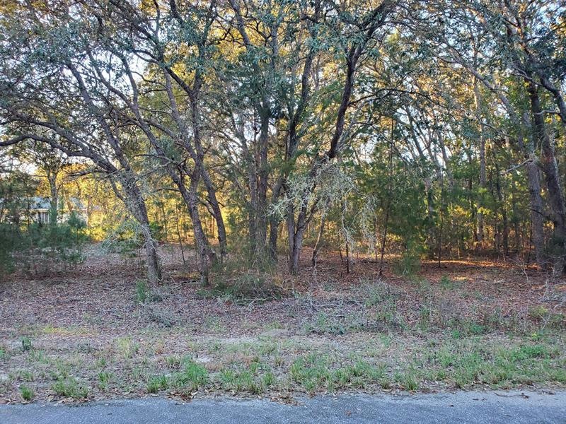 0 Fisher Trace Place unit OM568430, Ocklawaha, FL 32179 - photo 1