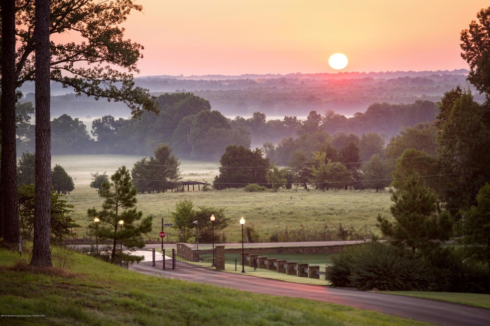 41 Cyrene Dr, Hernando, MS 38632 - photo 1