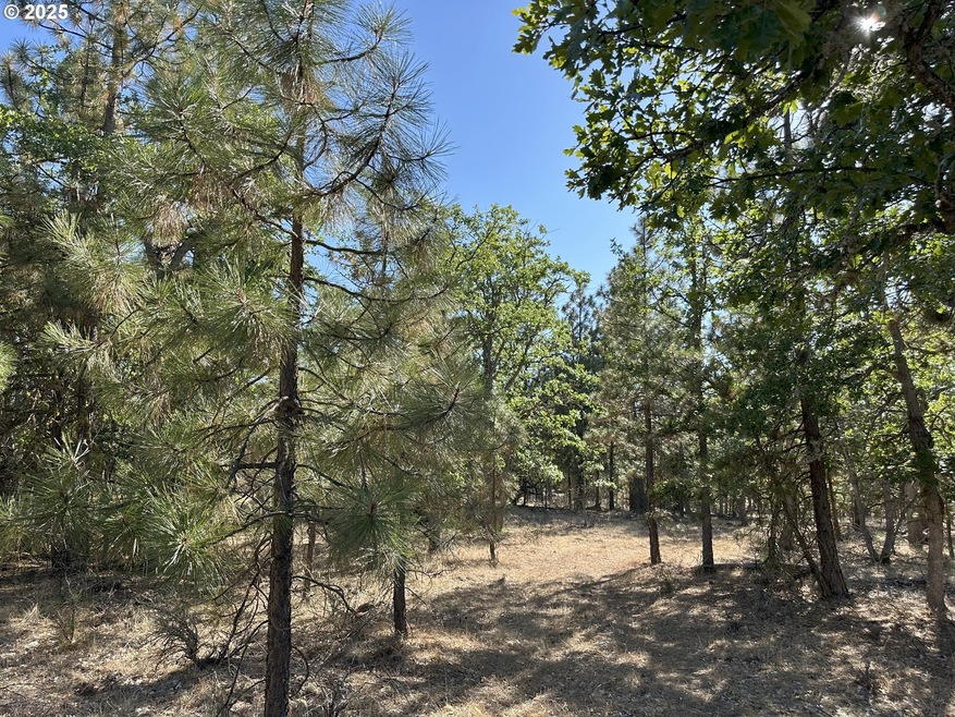 0 Hope Grove unit 430872245, Goldendale, WA 98620 - photo 1