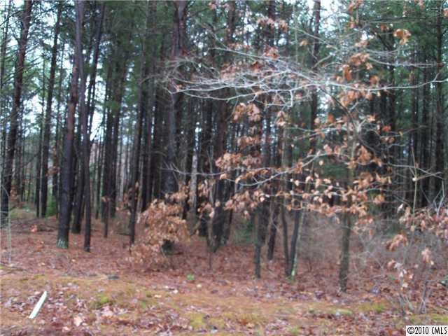 Land/Lot