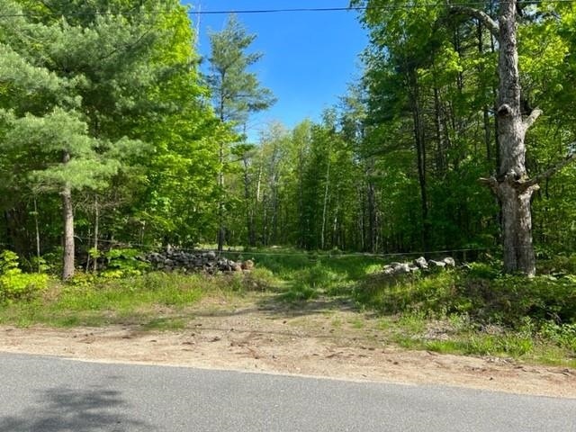 0 Mount Dearborn Rd unit 4905280, Weare, NH 03281 - photo 1